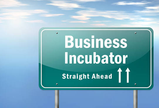 Fueling the Next Unicorns: India’s Top Startup Incubators & Accelerators to Watch in 2025