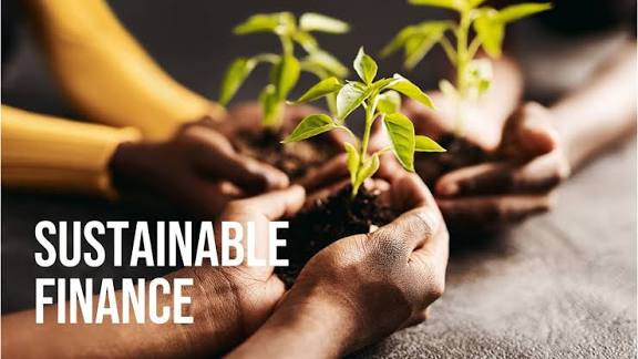 Sustainable Finance in India: Everything Indian Businesses Must Know Before Raising Green, ESG or Transition Capital in 2025 and Beyond